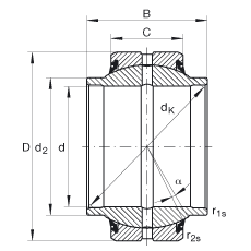 關(guān)節(jié)軸承 GE25-HO-2RS, 根據(jù) DIN ISO 12 240-1 標準, 需維護，兩側(cè)唇密封