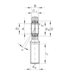 桿端軸承 GAL45-DO-2RS, 根據(jù) DIN ISO 12 240-4 標(biāo)準(zhǔn)，帶左旋外螺紋，需維護(hù)，兩側(cè)唇密封